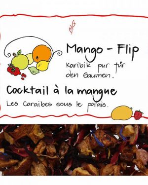 HERBORISTERIA Früchtetee Mango Flip 140 g