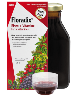 FLORADIX Eisen + Vitamine Saft Fl 250 ml